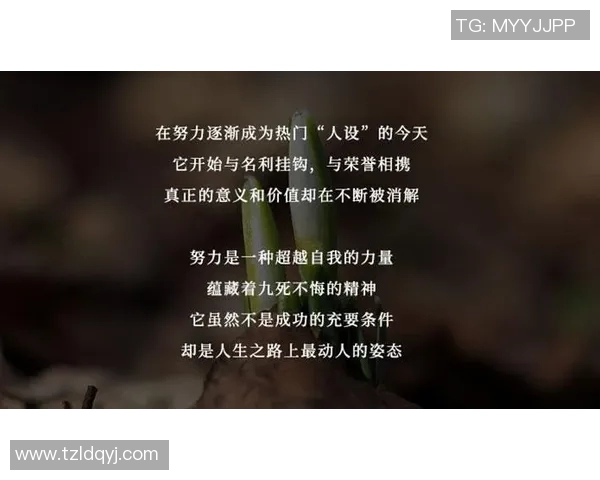 《追风少年：从竞技场到人生巅峰的奋斗历程》